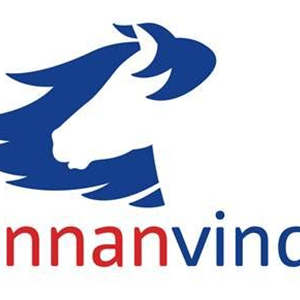 Logo_Sunnanvindur.png