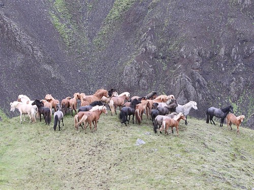Nieuwe samenstelling bestuur en informatie uit het bestuur