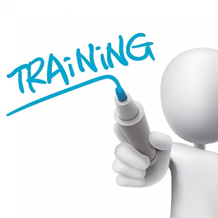 Opleiding TI basis IJslandse Paarden start in oktober.