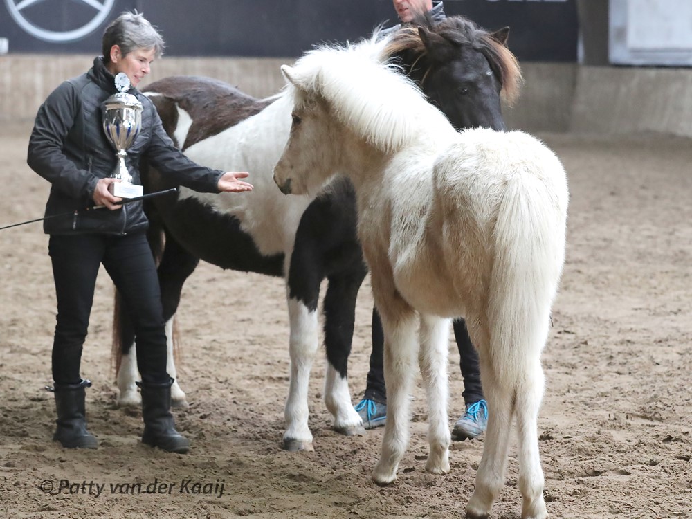 Verslag van het Fokkerij Event 2018