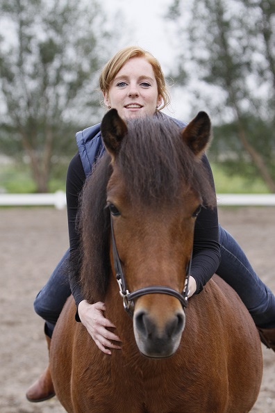 Litla, Gæfa, Gleði, Stormur, Blakkur, Vitjur en 65 andere IJslandse paarden 