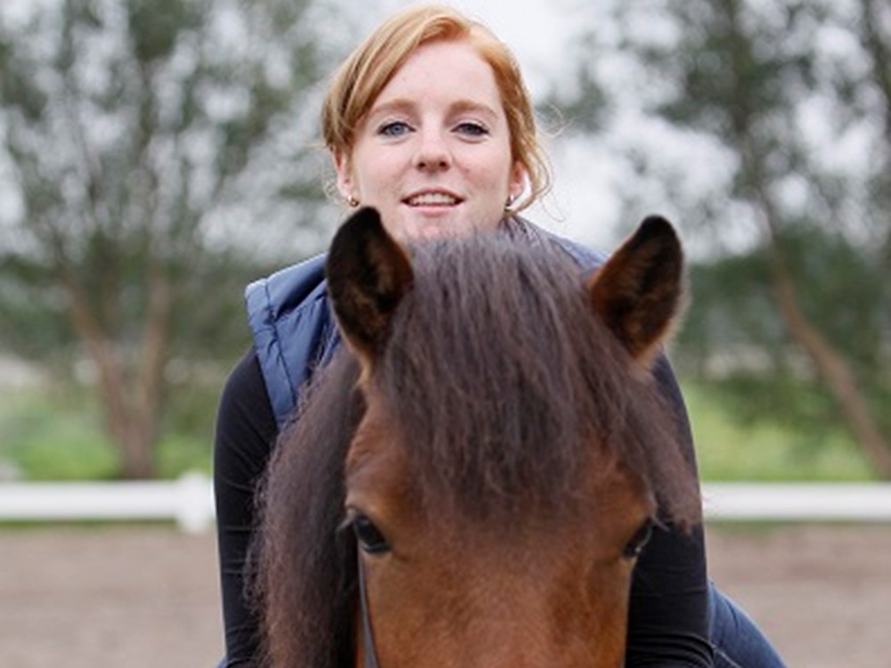 Litla, Gæfa, Gleði, Stormur, Blakkur, Vitjur en 65 andere IJslandse paarden