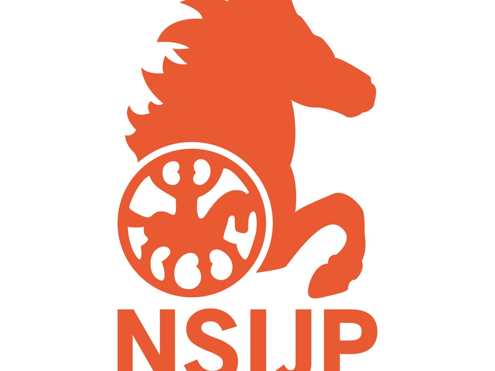 Concept Beleidsplan NSIJP 2019-2021