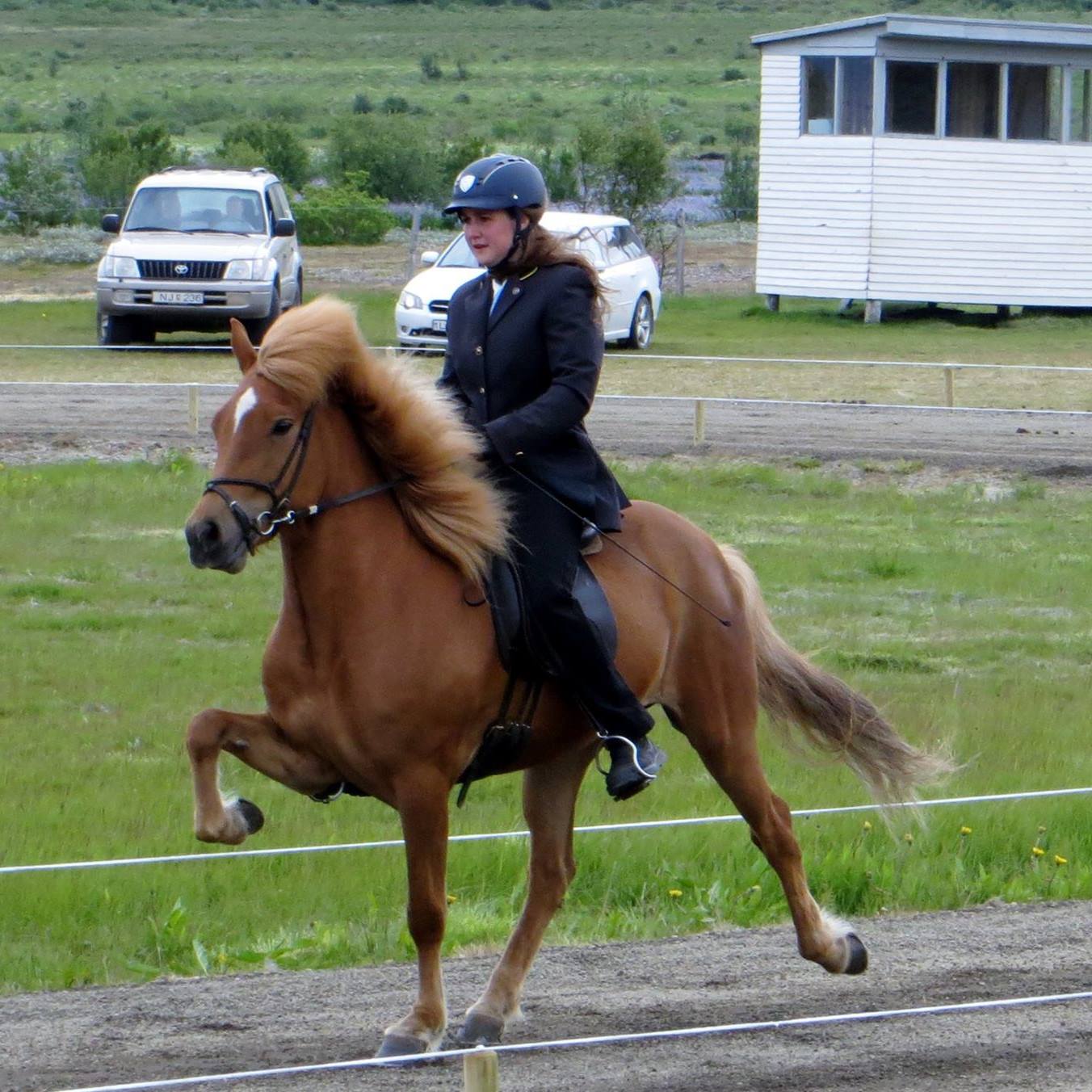 NSIJP cursus voorbrengen – vervolg