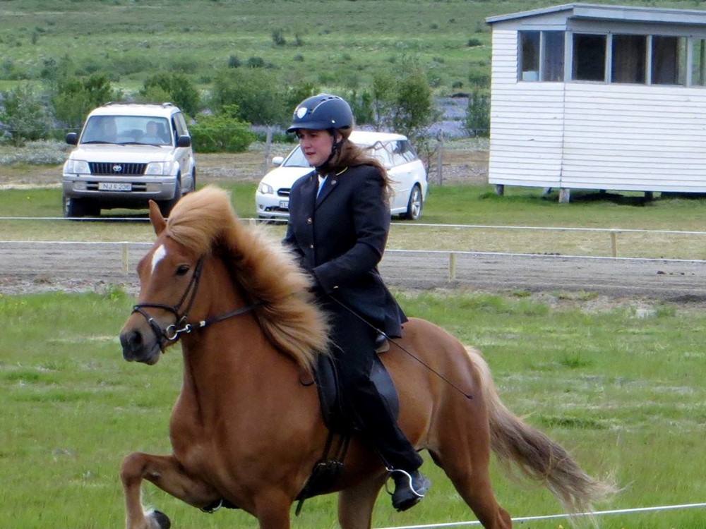 NSIJP cursus voorbrengen – vervolg