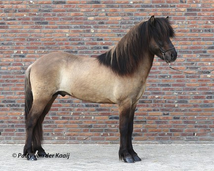 Vallari van 't Ilperveld
