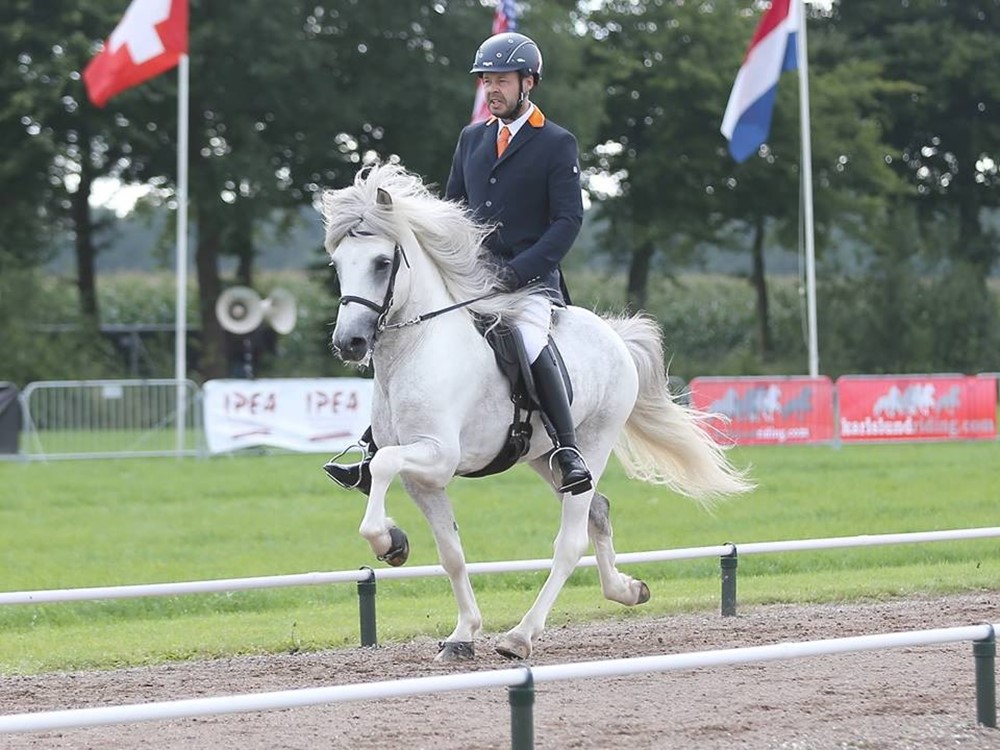 Tijdschema FIZO keuring Oirschot 15-16 juni