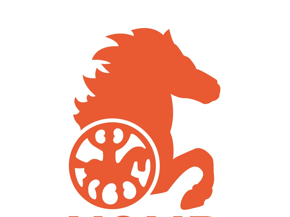 zestigjarig jubileum van het NSIJP!