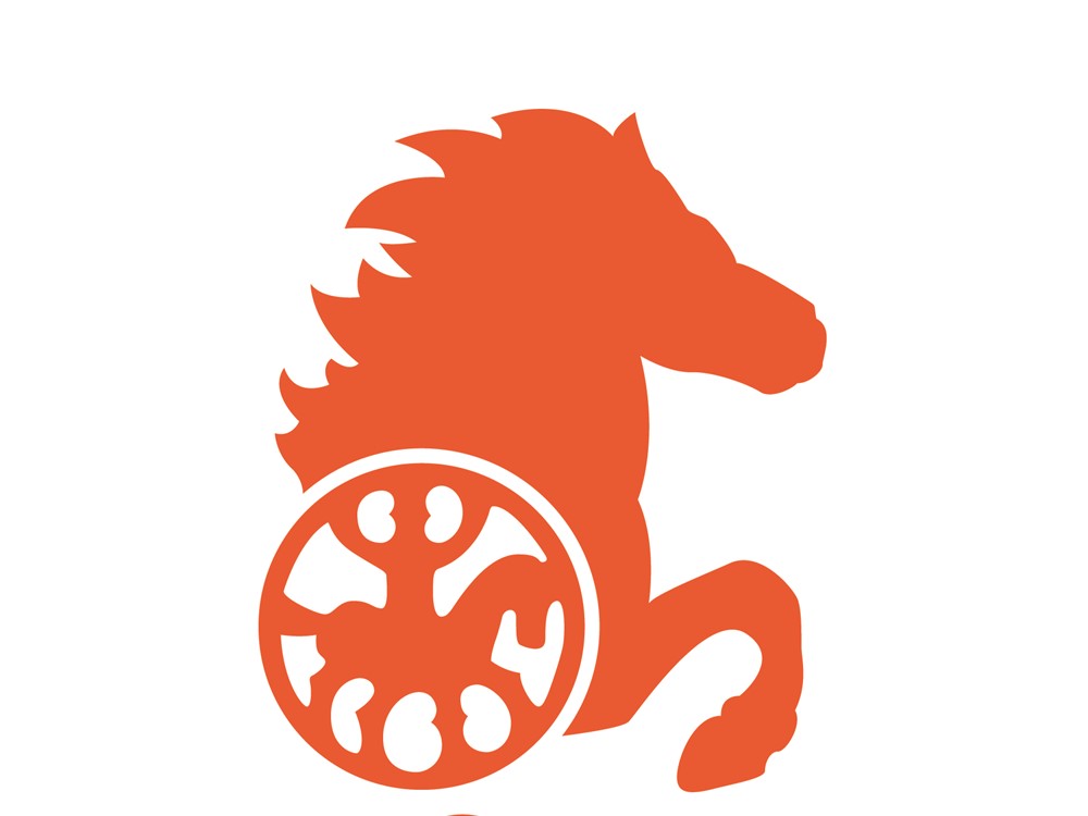 Cora Wijmans Nederlands kampioen P2 - tussenresultaten P1/P3