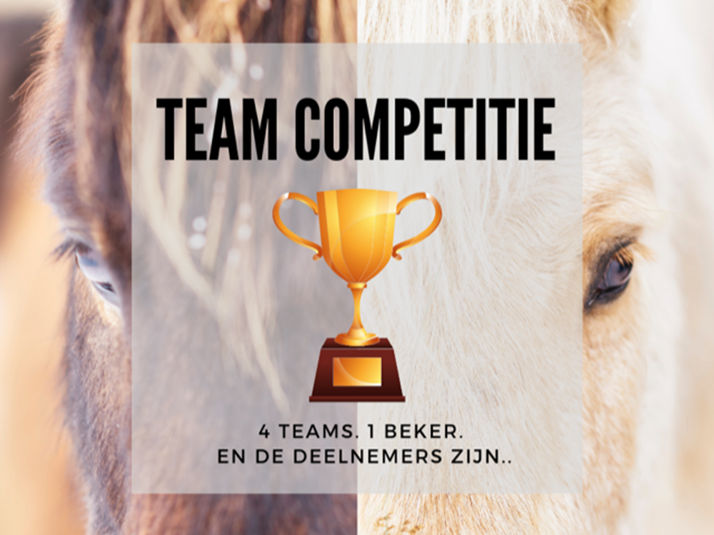 Teamcompetitie op jubileumdag