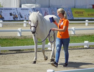 Anne Lene maakt een video