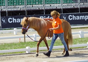 Mieke