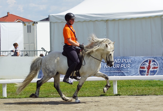 De voorbereidingen van de ruiters