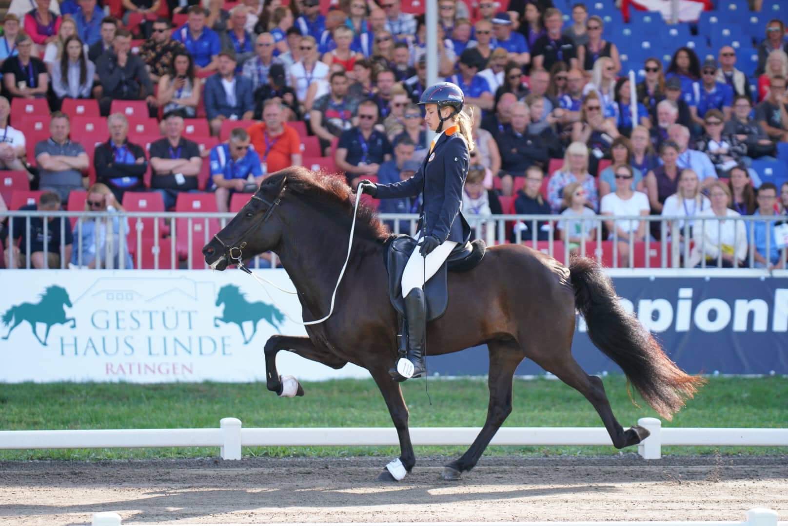 Maximaal haalbaar resultaat van Lisa