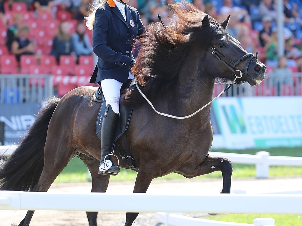 Twee B-finalisten bij de young riders in de T2