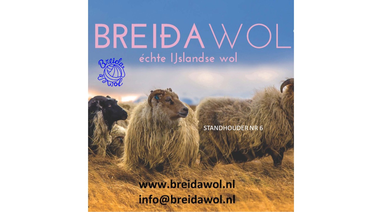 Breidawol
