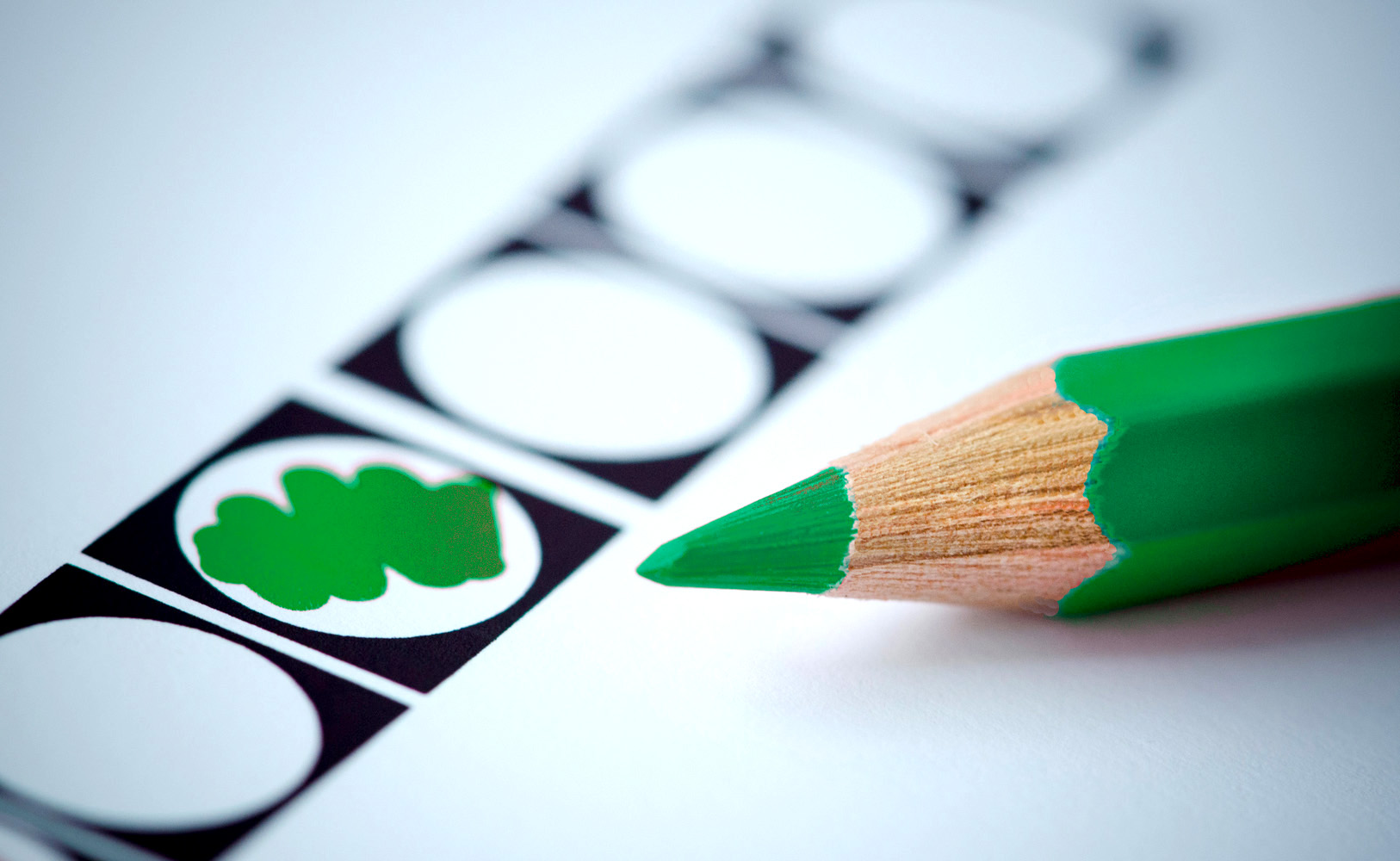 Kandidaatstelling Ledenraad