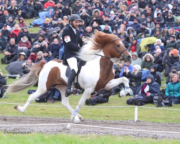 NSIJP Keuringstraject met Arni Björn Pálsson