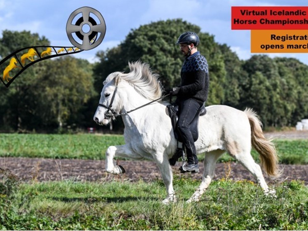 Virtual Icelandic Horse Championships