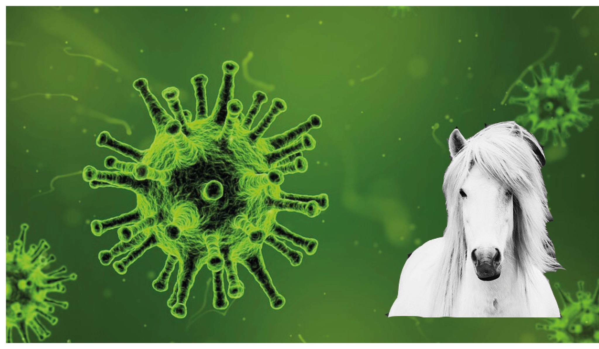 NSIJP nieuwsbrief | Het Corona virus