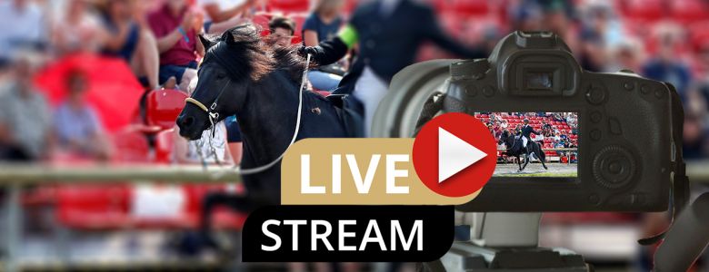 DIM2020 | Livestream