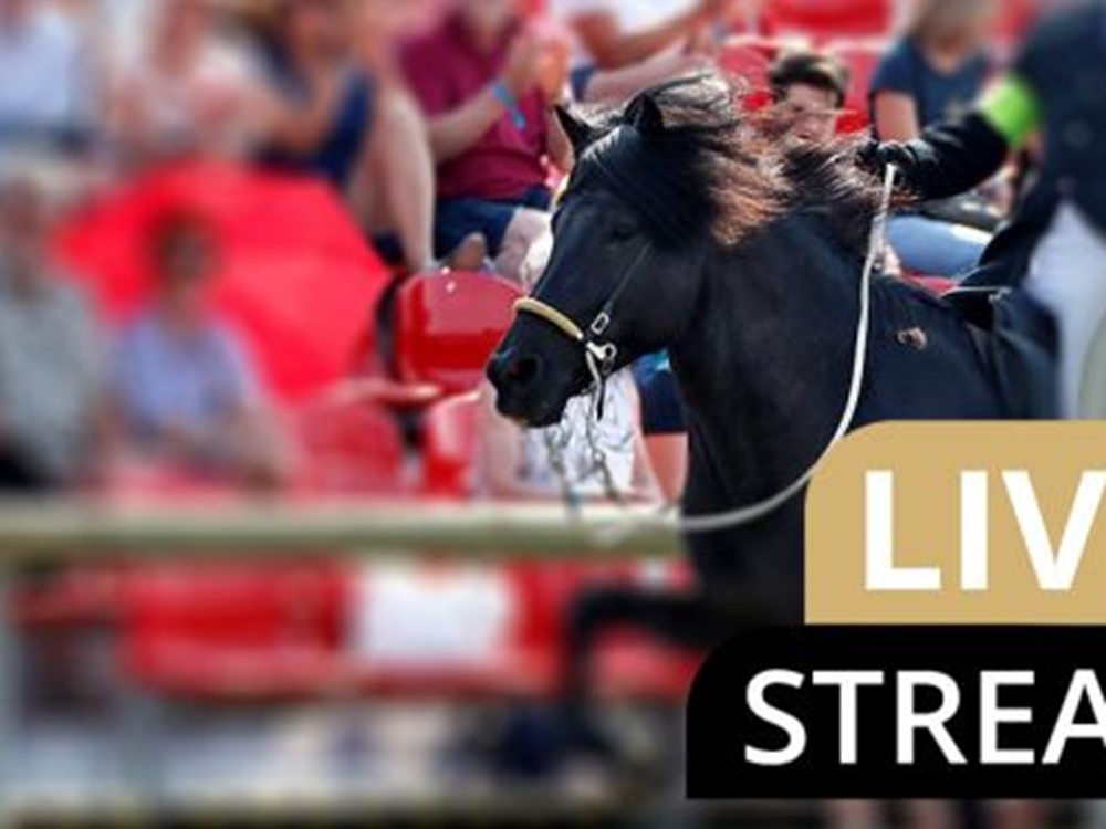 DIM2020 | Livestream