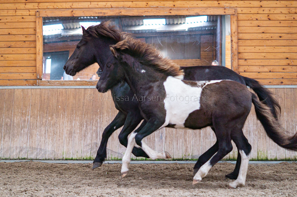 Depill van de Waaldijk, dagwinnaar De Mortel