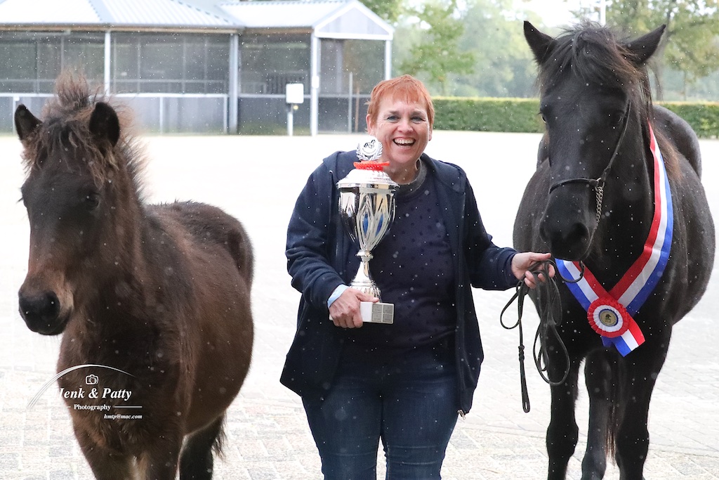 Kasmir frá Lálendi dagkampioen op Fokkerij Event