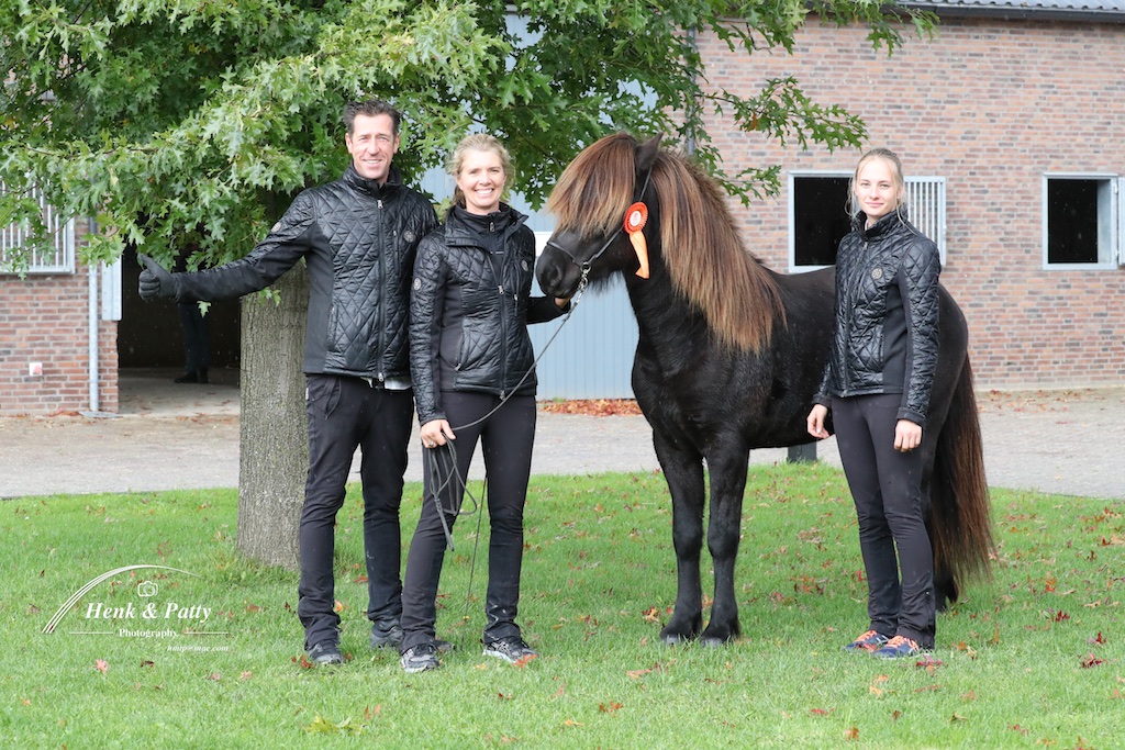 Tangó frá AEvintýri  hoogste score jonge hengsten