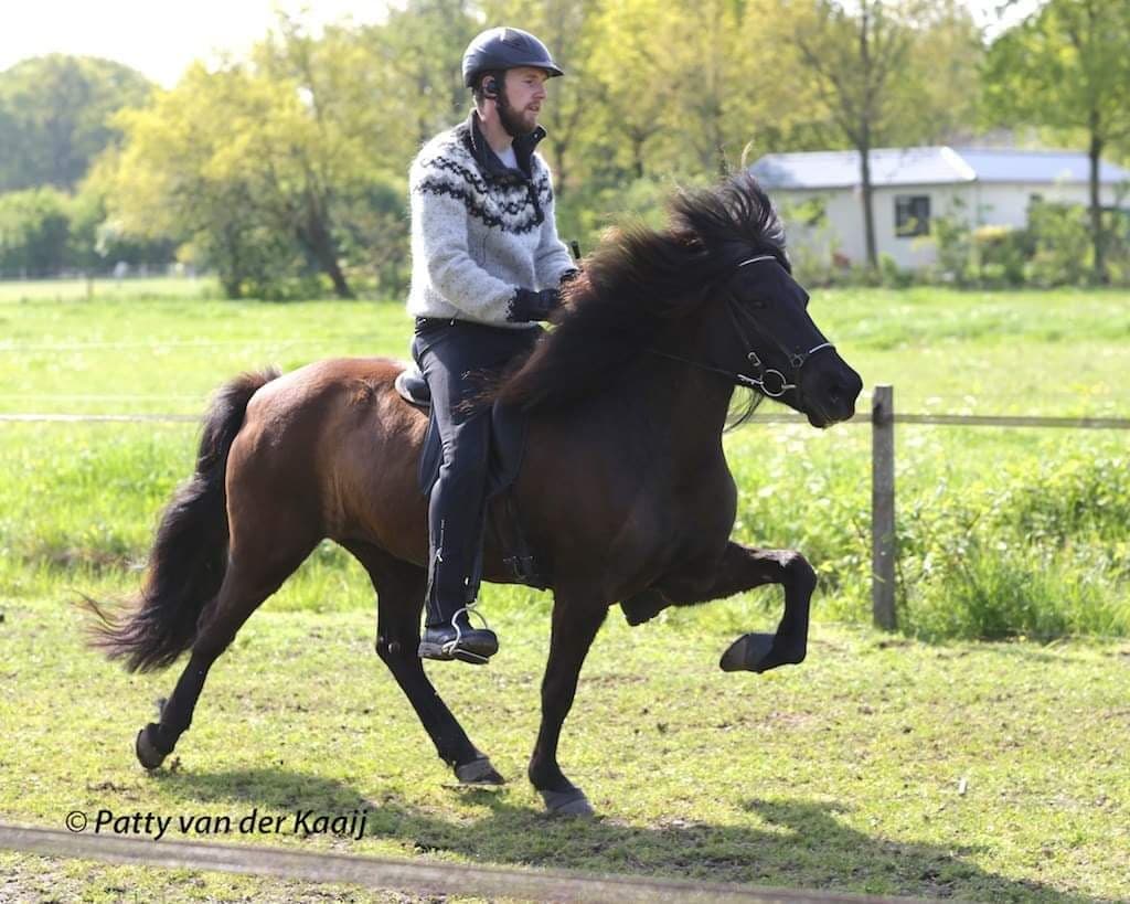 Dirk Swart wint Jan Pelsprijs