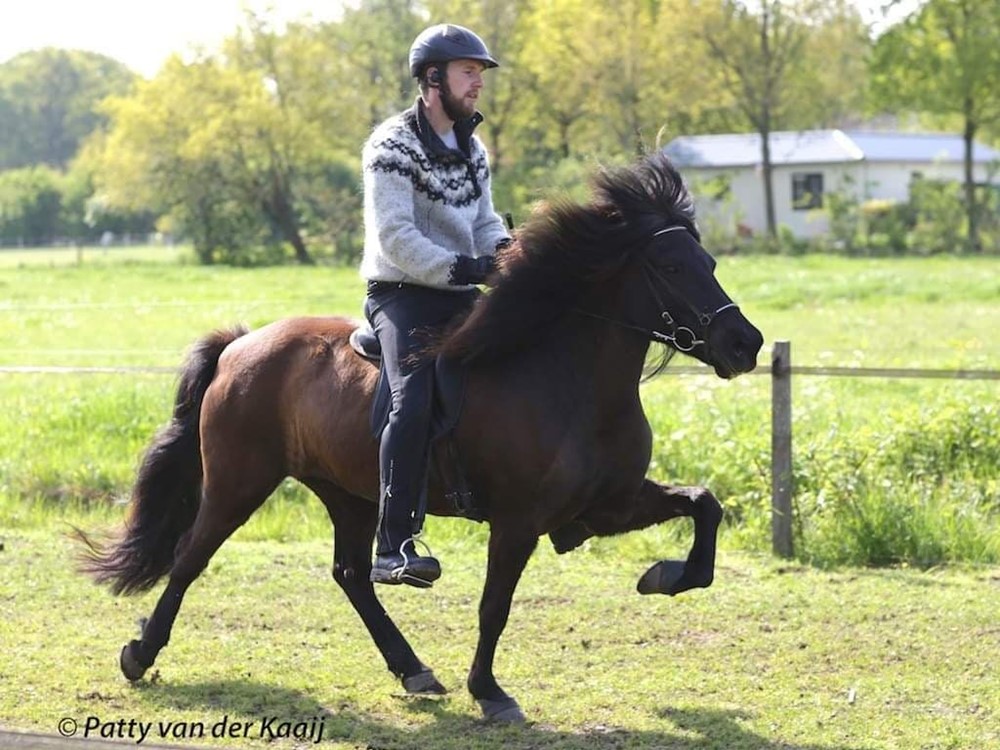 Dirk Swart wint Jan Pelsprijs