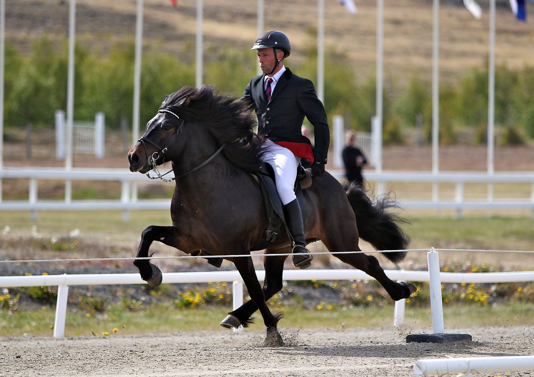 NSIJP Keuringstraject met Þórður Þorgeirsson