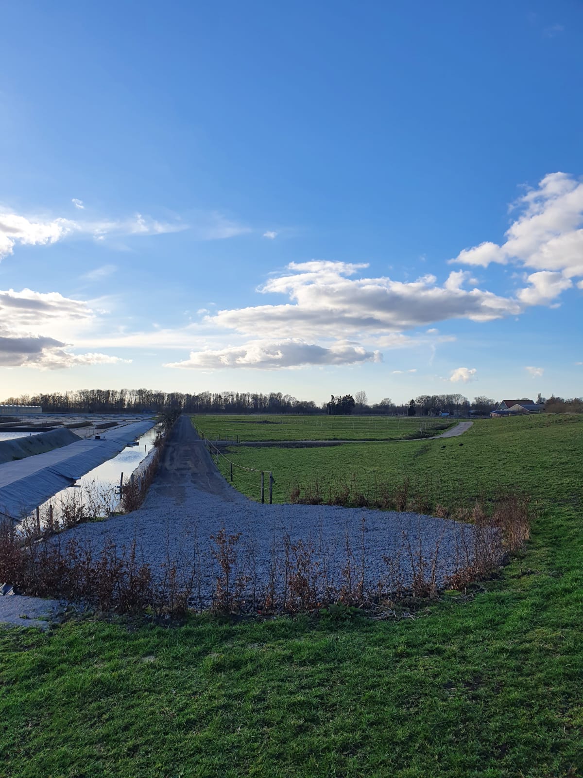 Keuringstraject met Þórður Þorgeirsson