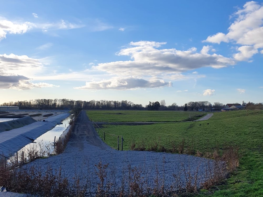 Keuringstraject met Þórður Þorgeirsson