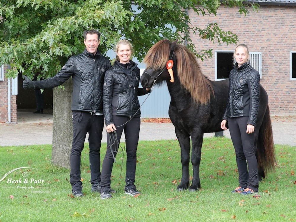 Jonge hengstenkeuring 17 april 2021