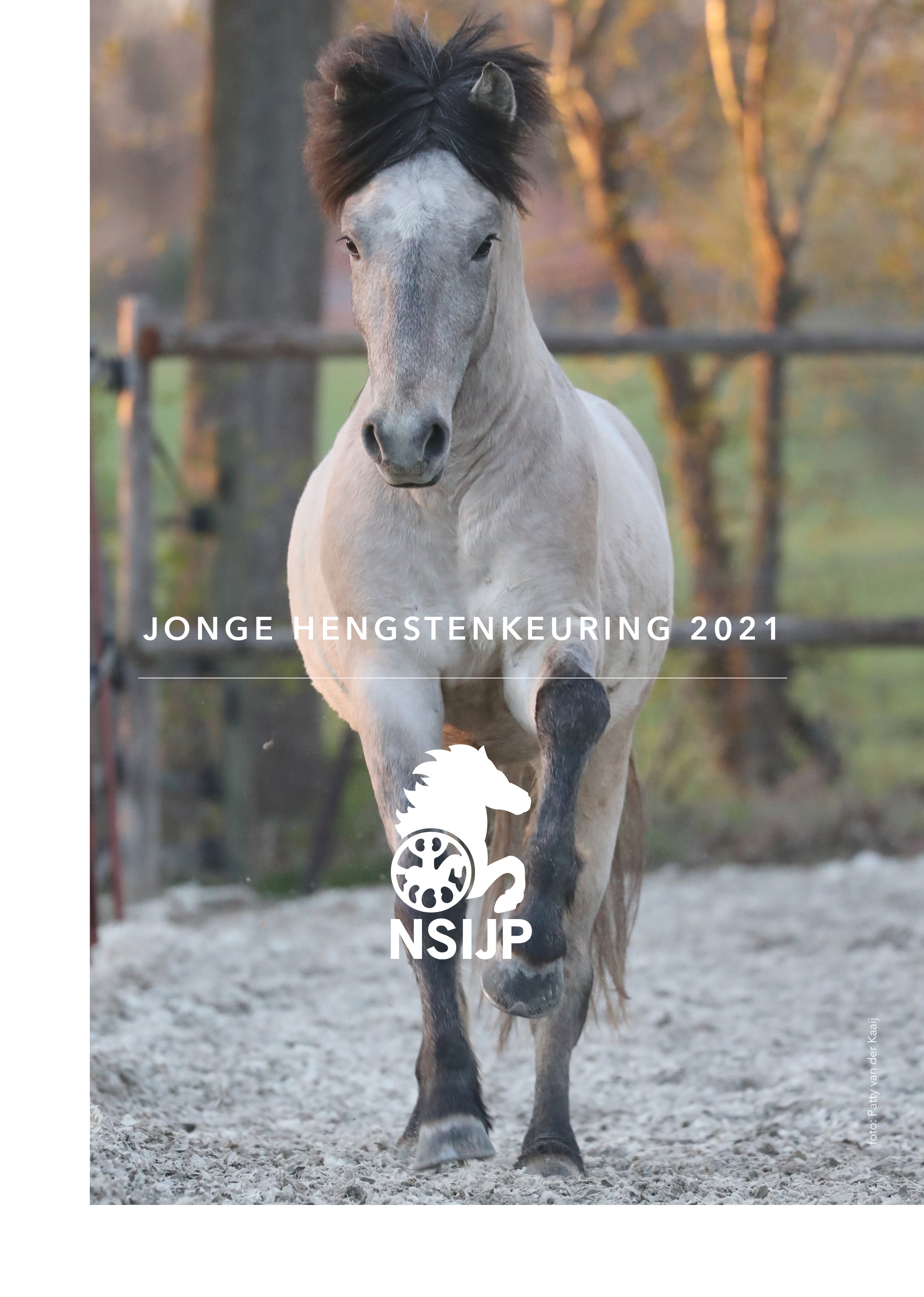 Jonge hengstenkeuring 2021, bedankt!