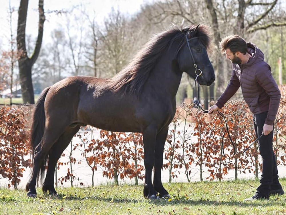 Interview Thomas Hoogenboom