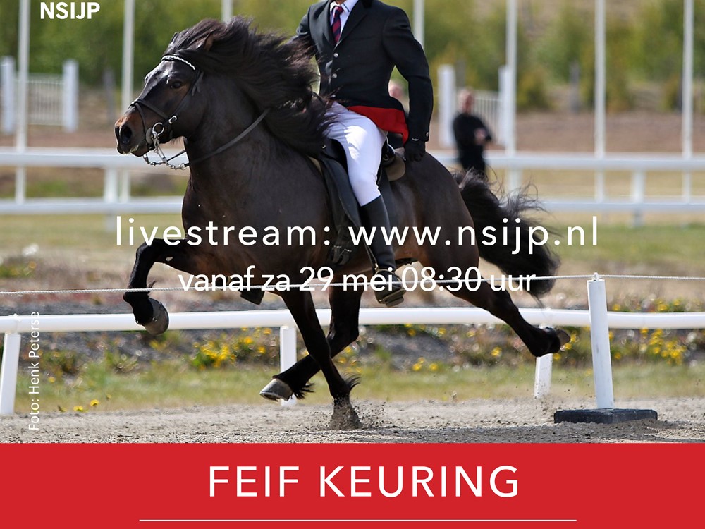 FEIF-keuring 28, 29 en 30 mei
