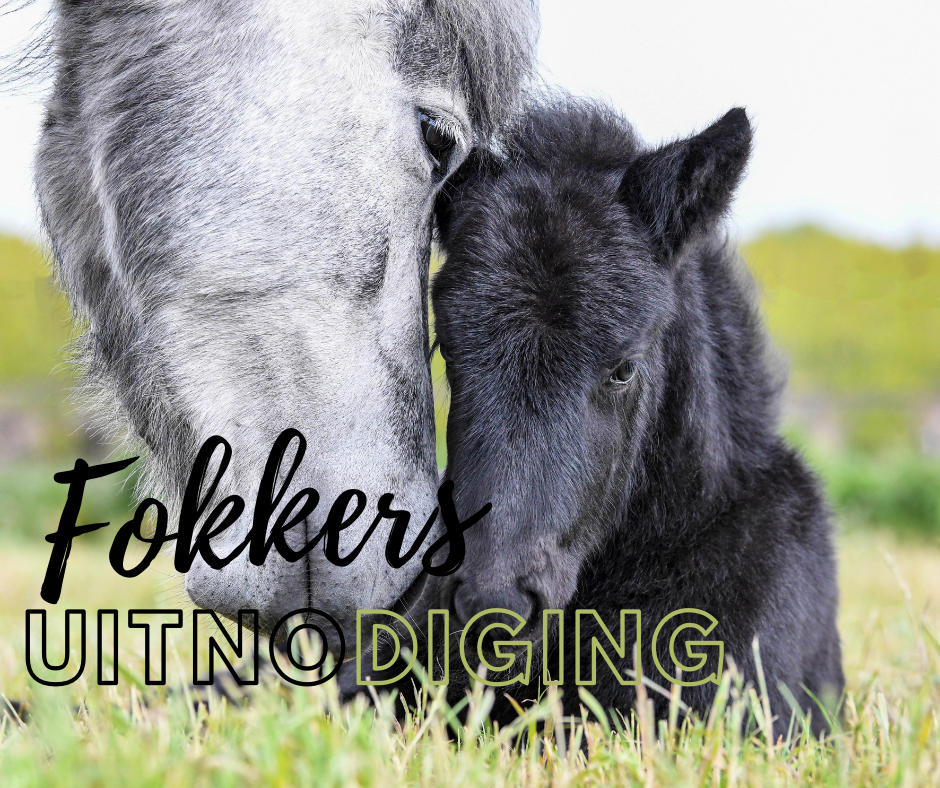 HestFest2021 | Aan alle fokkers