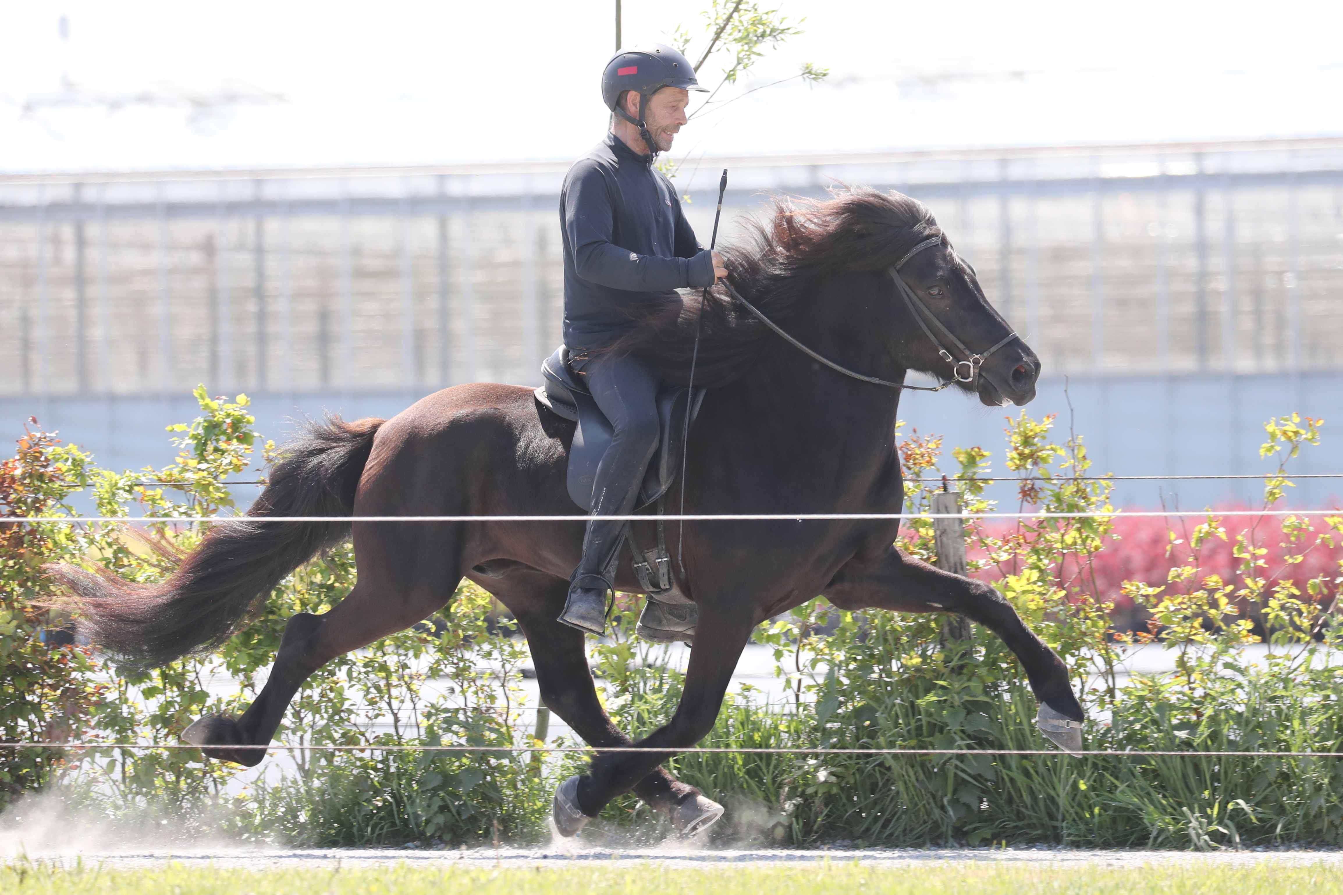 Keuring Hazerwoude-Dorp