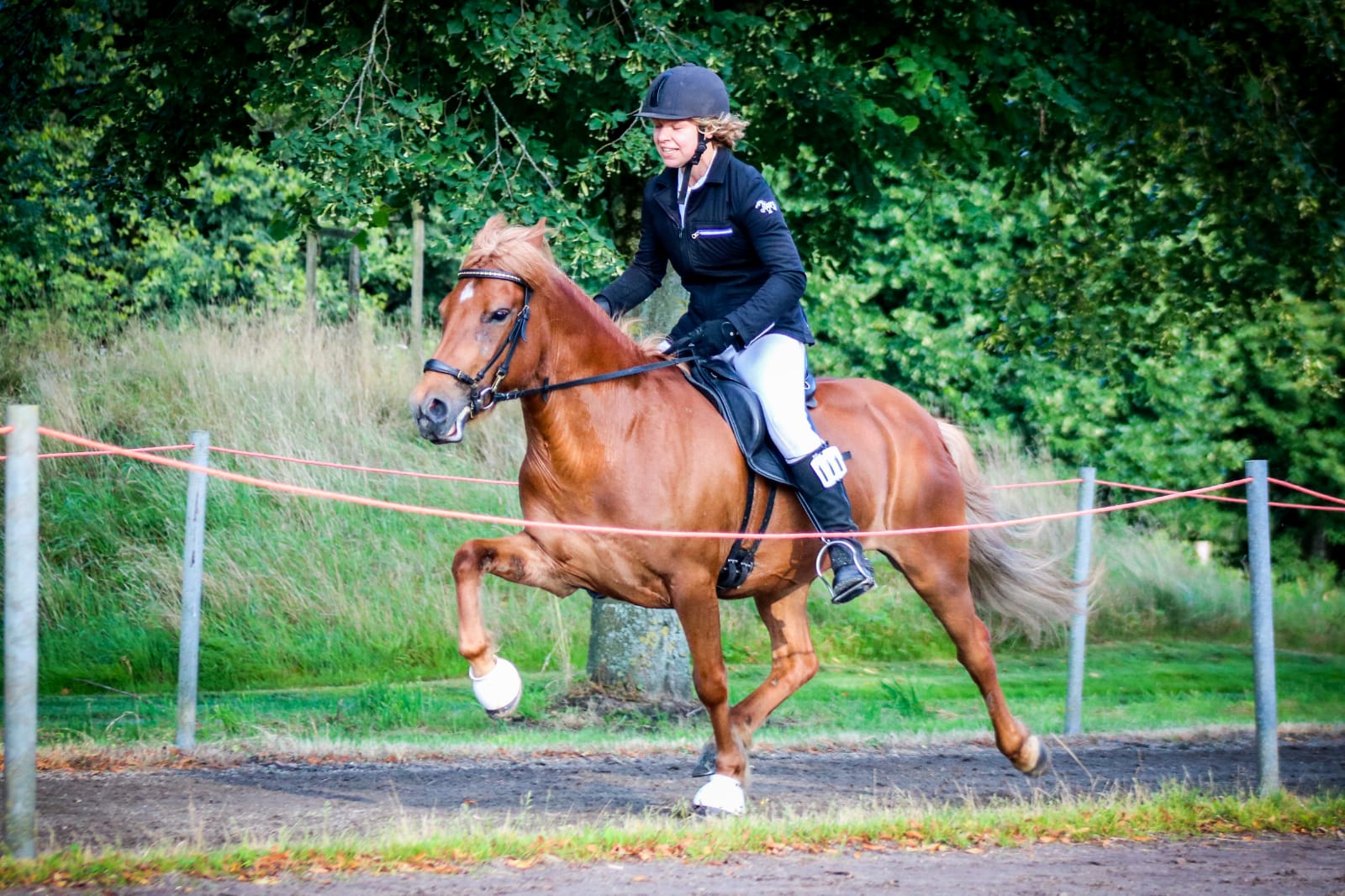 Stoere, snelle telgangers