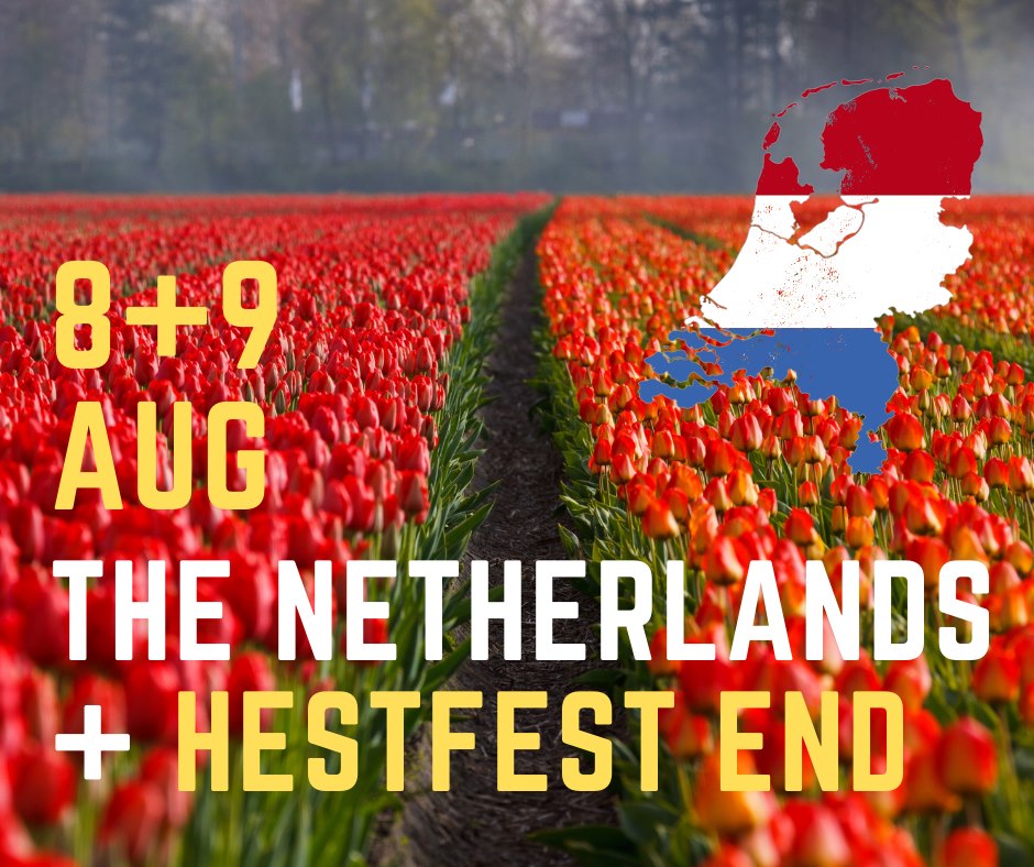 Hestfest, een internationaal succes