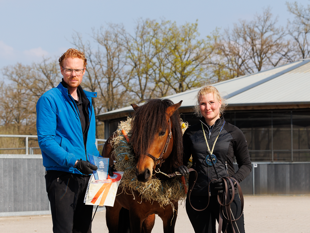 kort verslag jonge hengstenkeuring