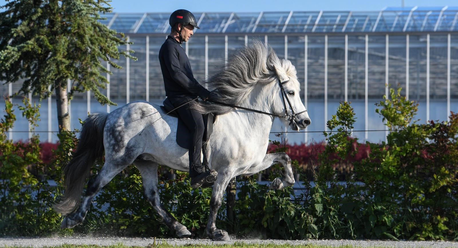 tijdschema FIZO keuring Hazerswoude-Dorp