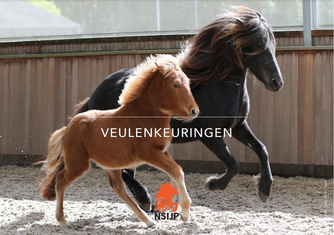 Tijdschema en deelnemers Zwiggelte