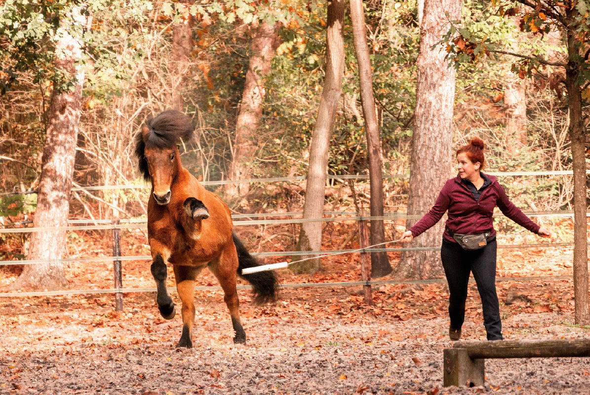 Online lezing Intrinzen-inspired trainen op 22-11-2022