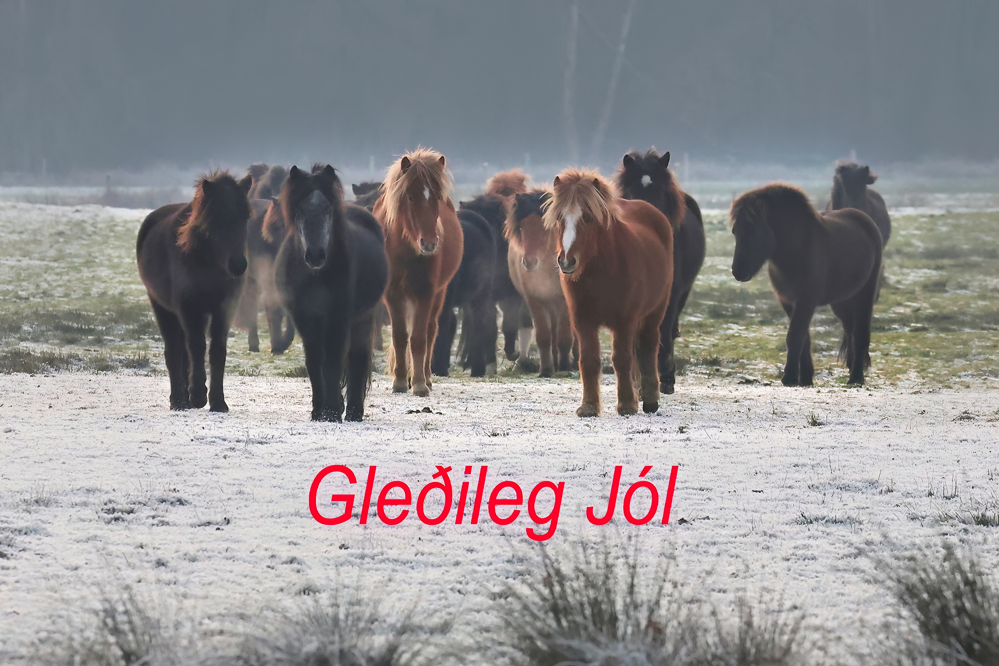 Fijne kerstdagen en de beste wensen voor 2023