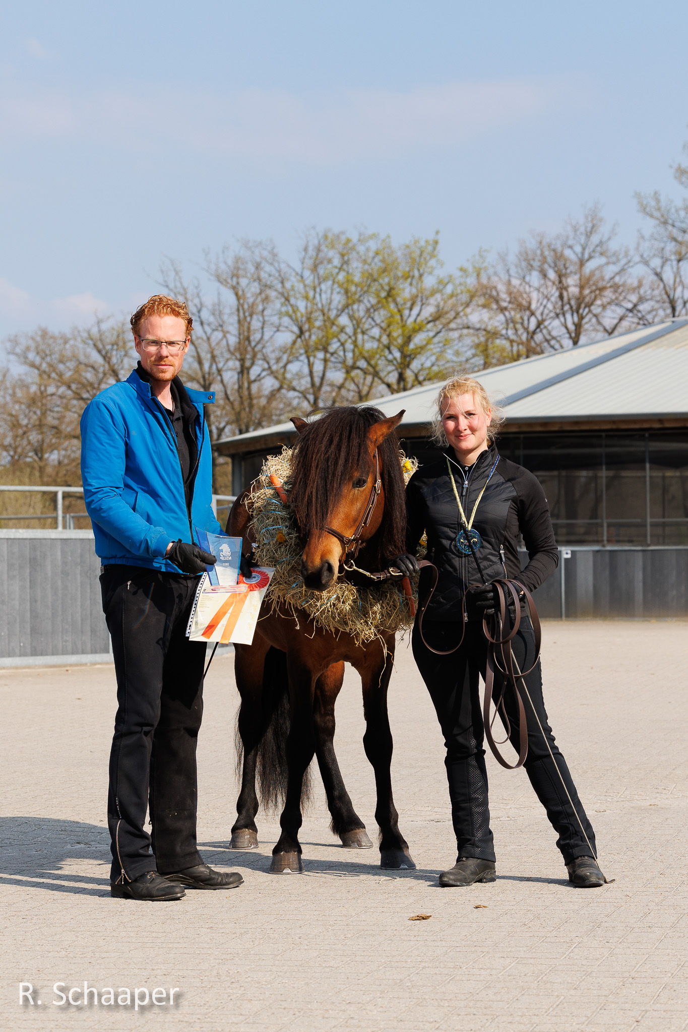 Inschrijving Jonge Hengstenkeuring geopend