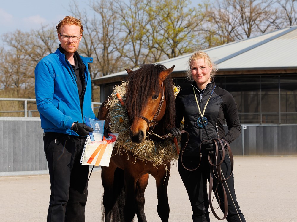 Inschrijving Jonge Hengstenkeuring geopend