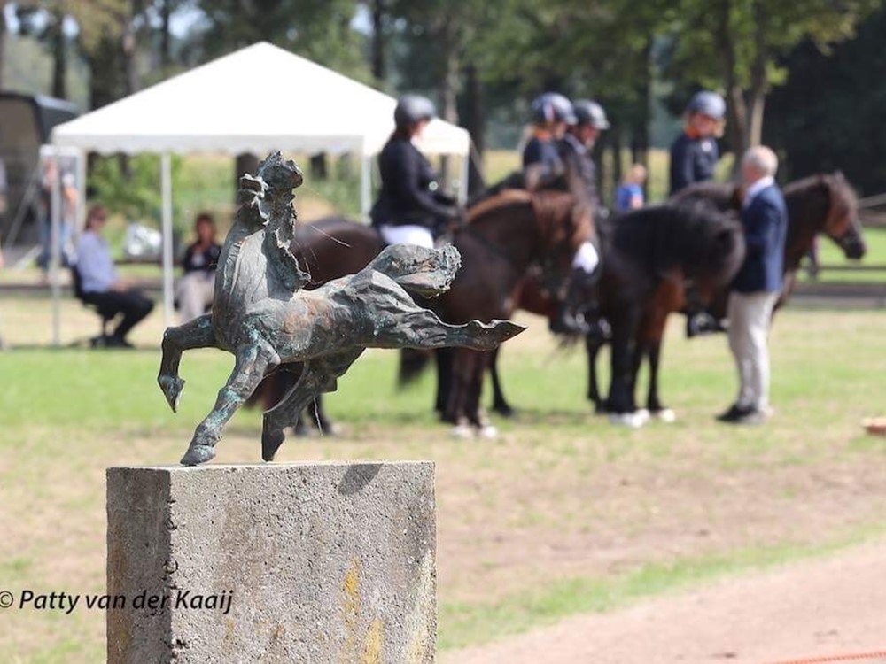 Het Nederlands Kampioenschap en presentatie WK Equipe is verplaatst van Exloo naar Fitjar, Noord- Sleen